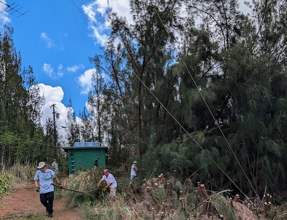 Kukiolono Cleanup